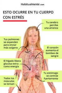 Estrategias para evitar el estrés acumulado