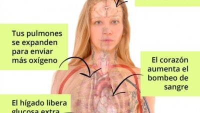 Estrategias para evitar el estrés acumulado